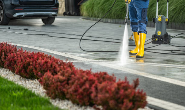 Best Affordable Power Washing  in Morningside, MD